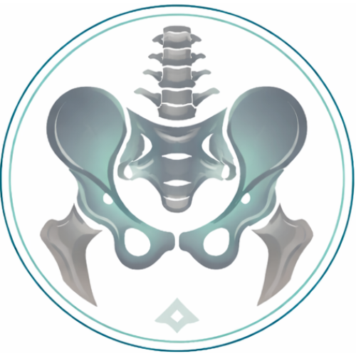 SIJ Institute logo